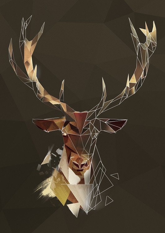 deer poster