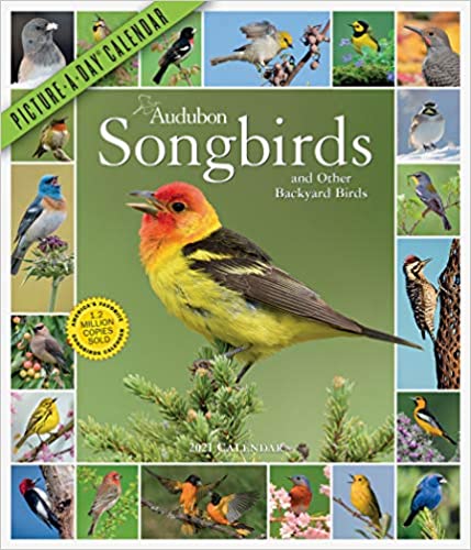 Audubon Songbirds and Other Backyard Birds wall calendar