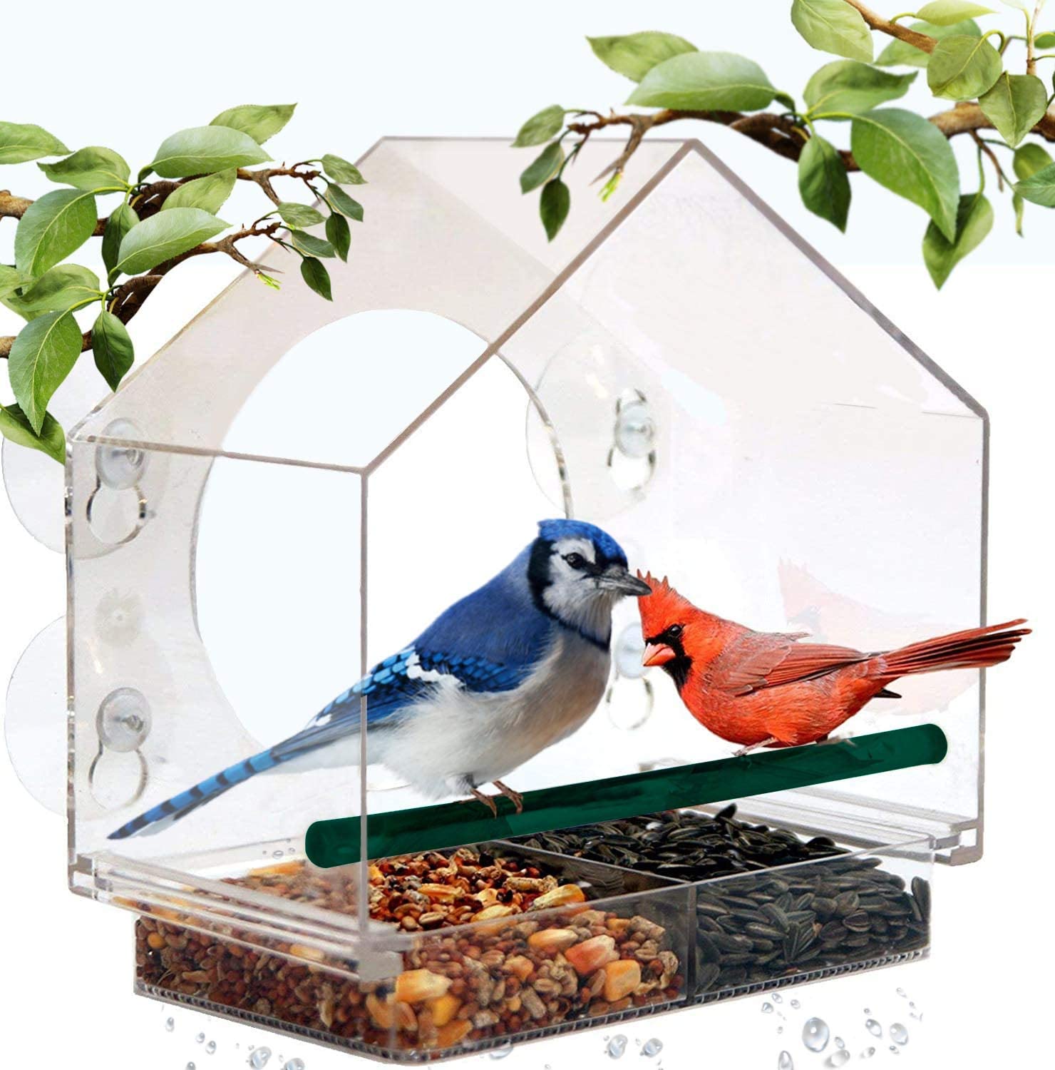 Mrcrafts window bird feeder for outside 